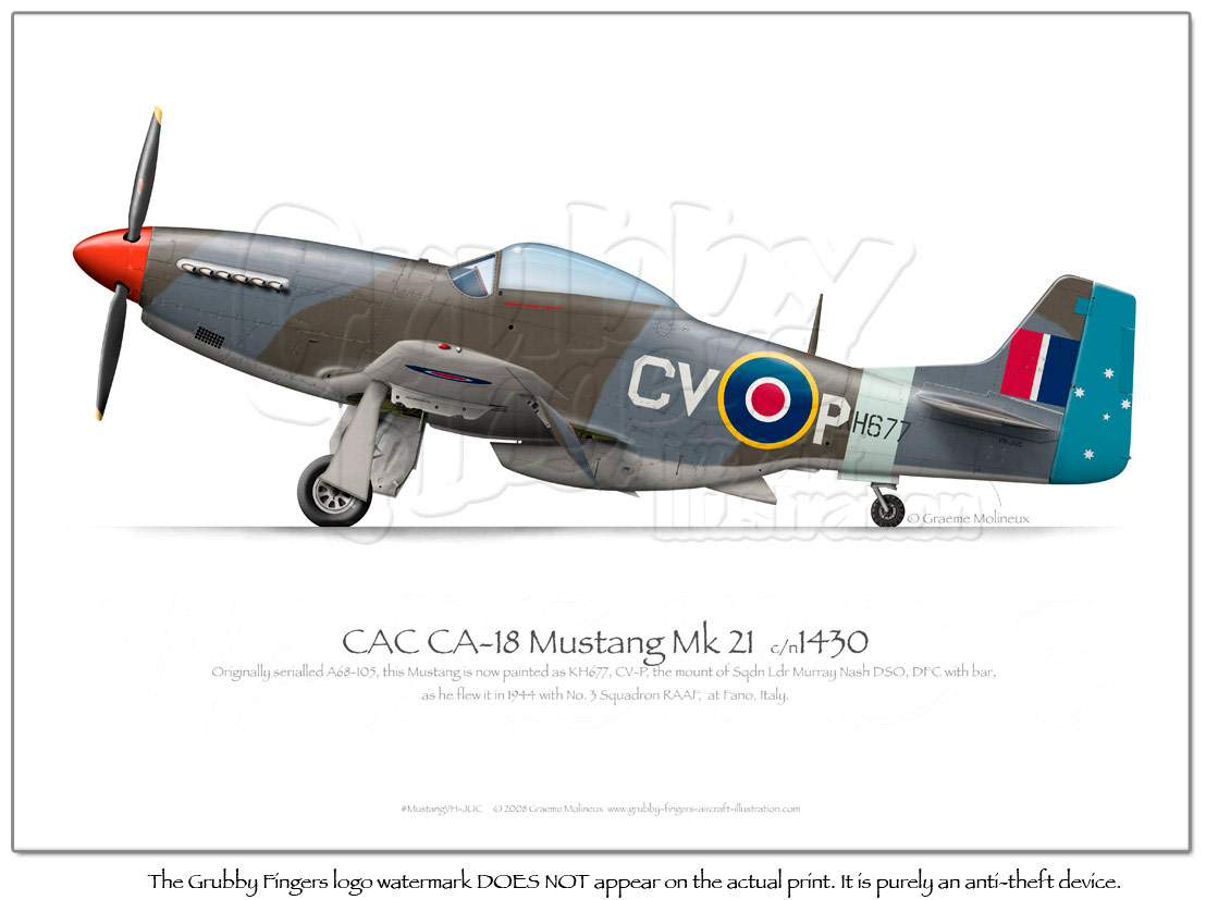 Aircraft engine ford mustang #2